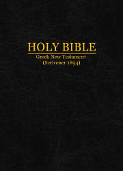 Holy Bible, Greek New Testament, Textus Receptus (1894)